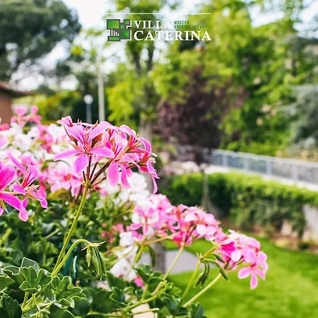 Caterina Пескантина